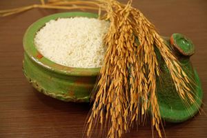 تفاوت های برنج کهنه و برنج تازه(نو)